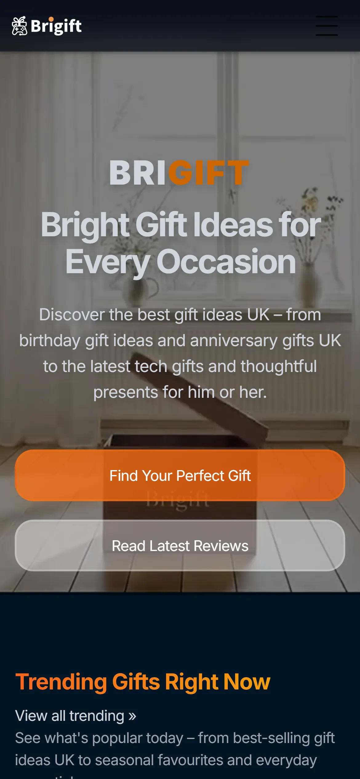 Brigift 网站在手机上的显示效果